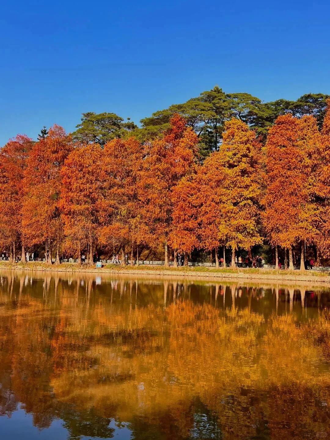 “后来我便逢人就说…冬天的广州有多美‼”