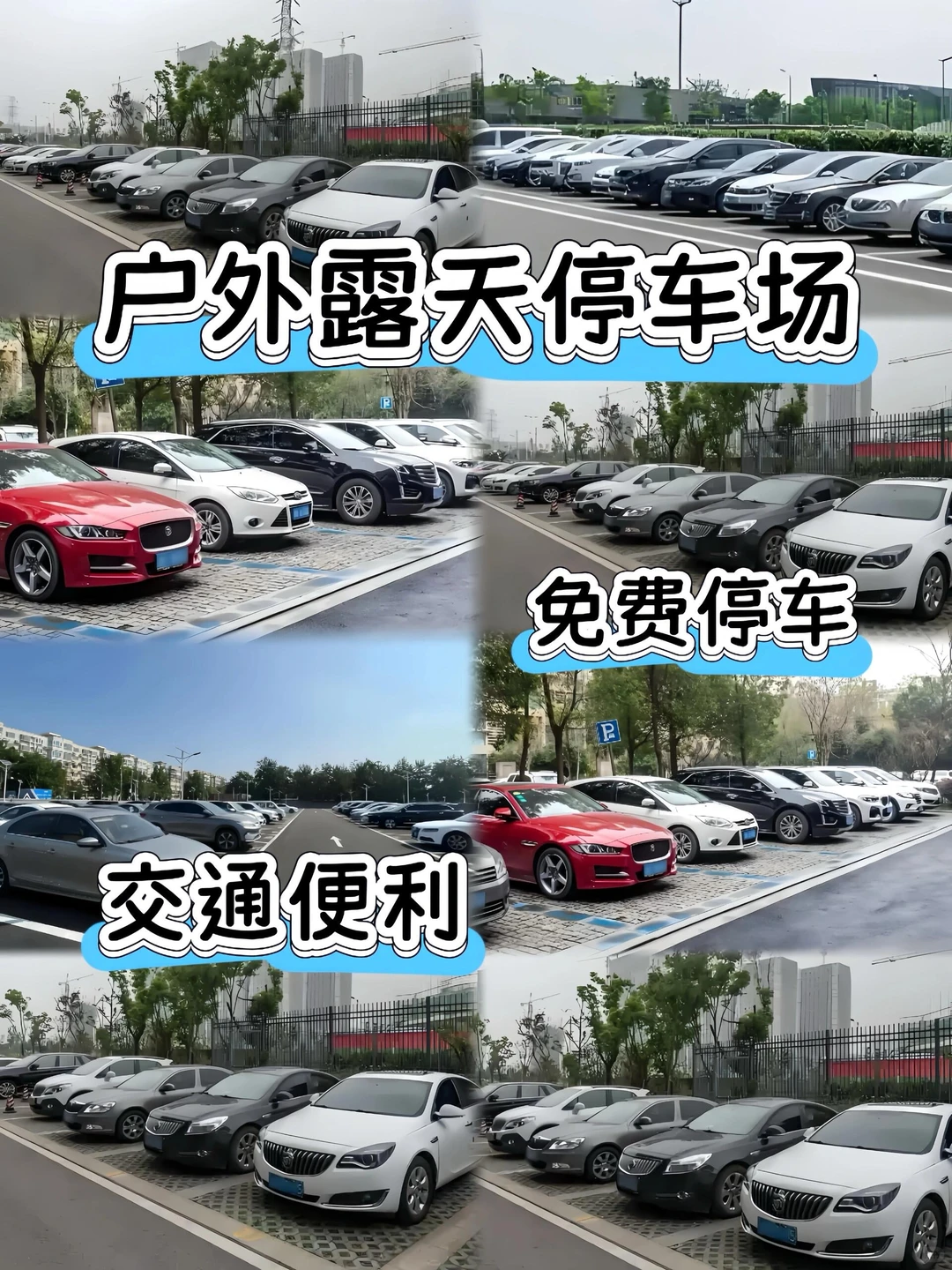 东莞大型宠物基地🔥喜欢猫猫狗狗的快来看看