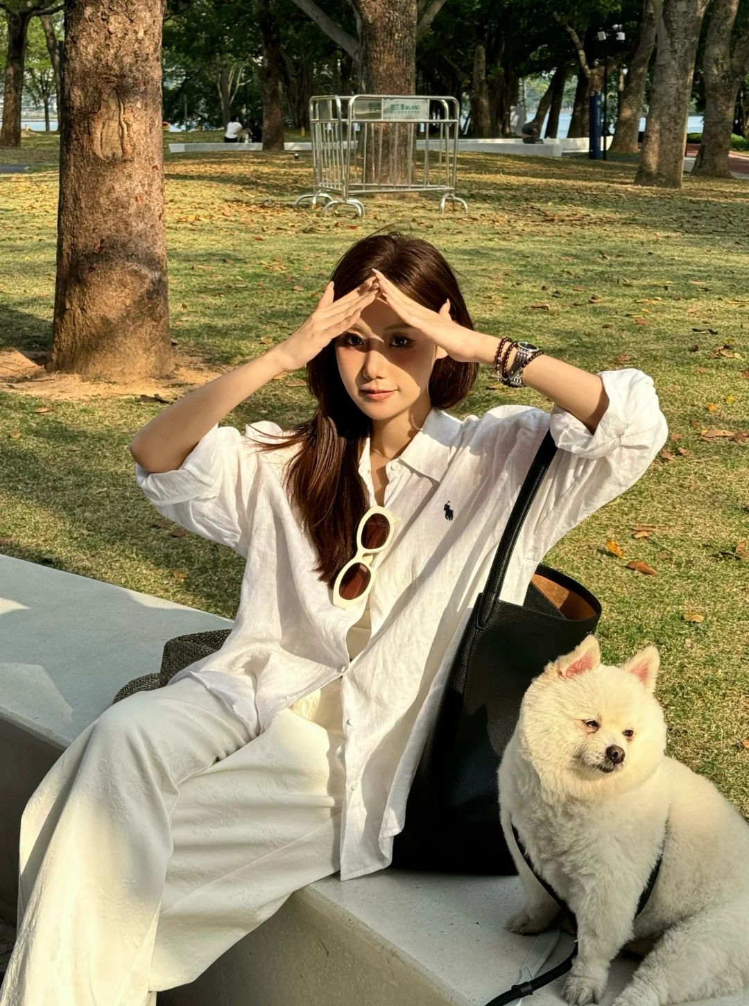 树下 我是我的春天📖🌳