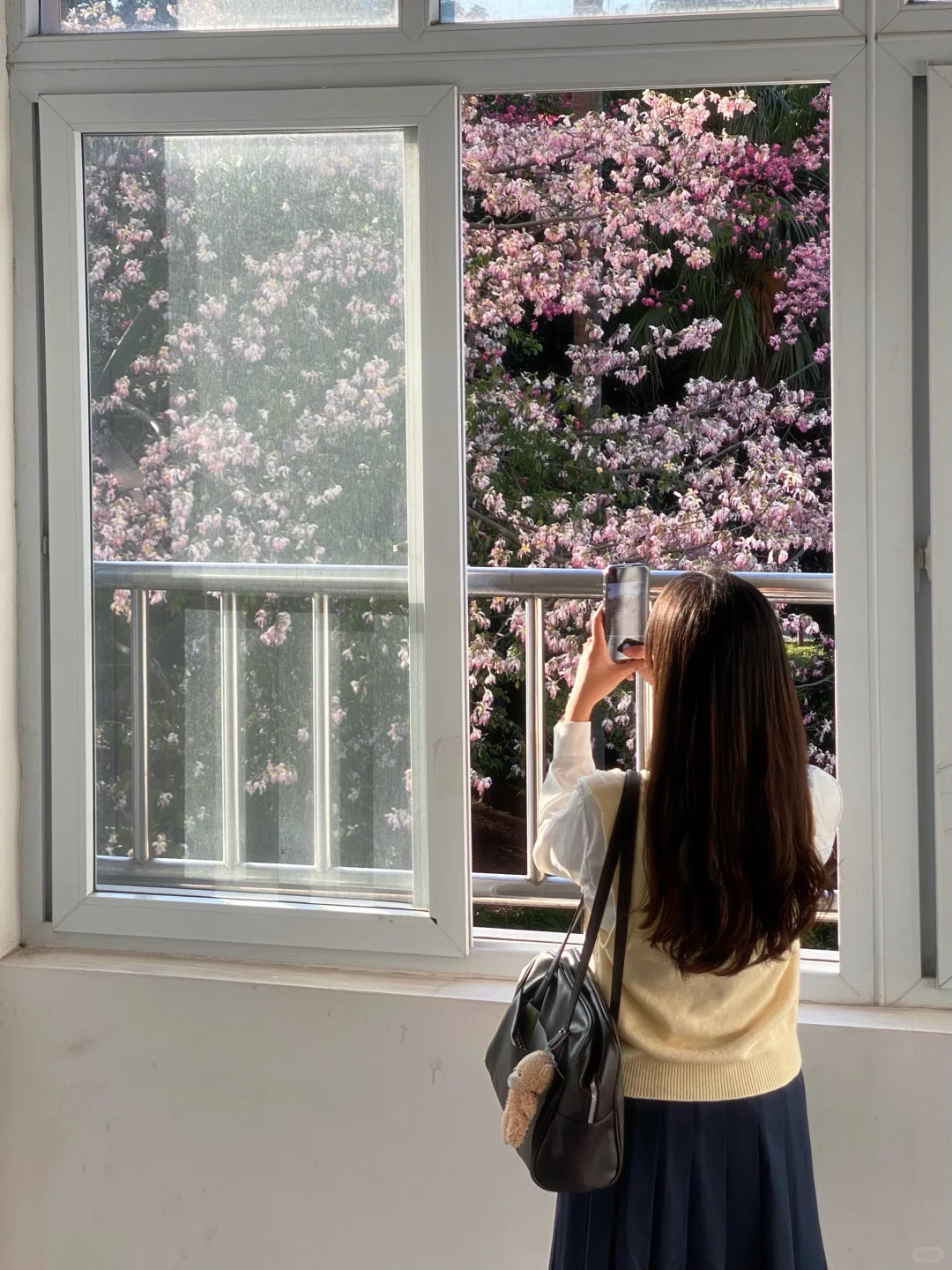 Live图🌸一棵树就是…广州一场盛大的秋冬！！