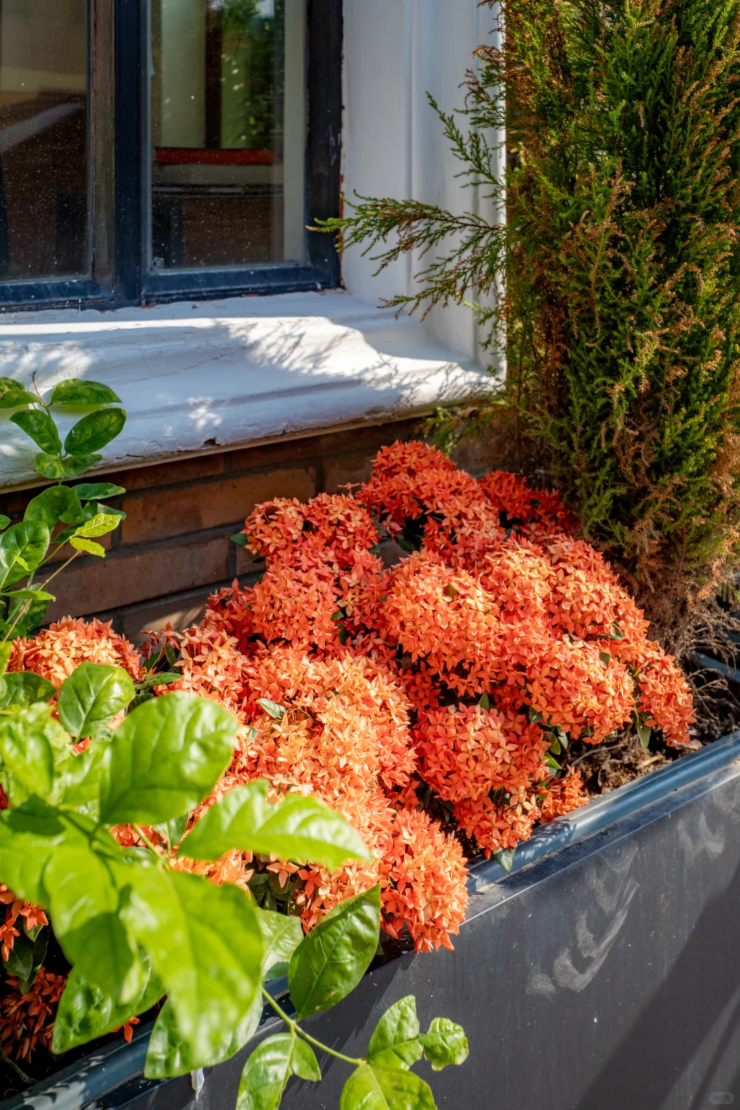 十一月，广州会让你知道为什么叫花城！