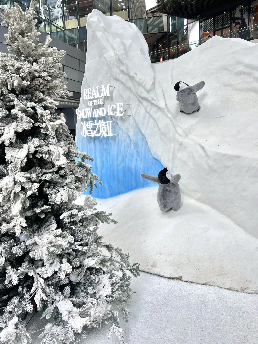 深圳不要钱的雪景随便拍，好浪漫呀❄️❄️