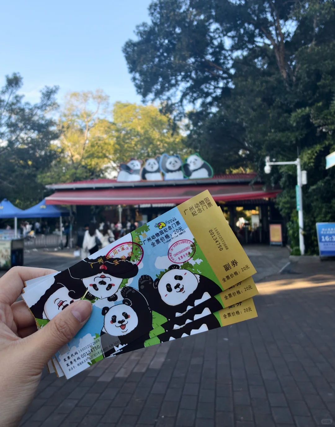 广州动物园，下次还来！