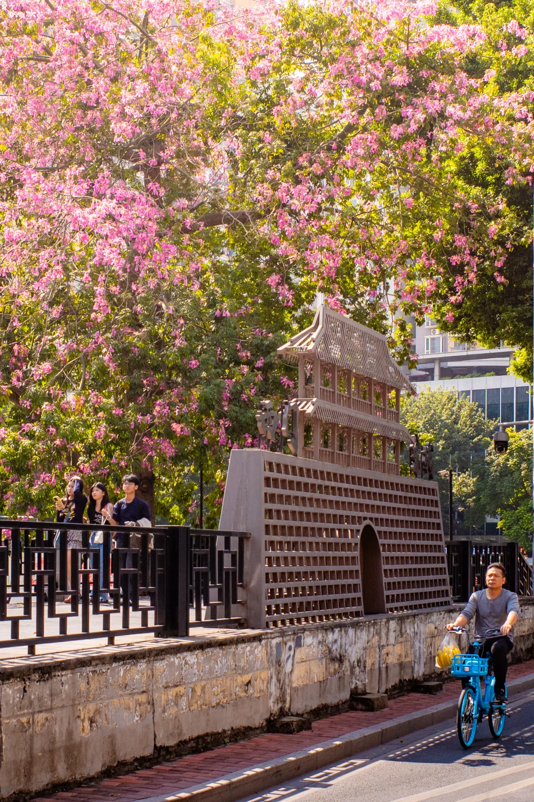 十一月，广州会让你知道为什么叫花城！