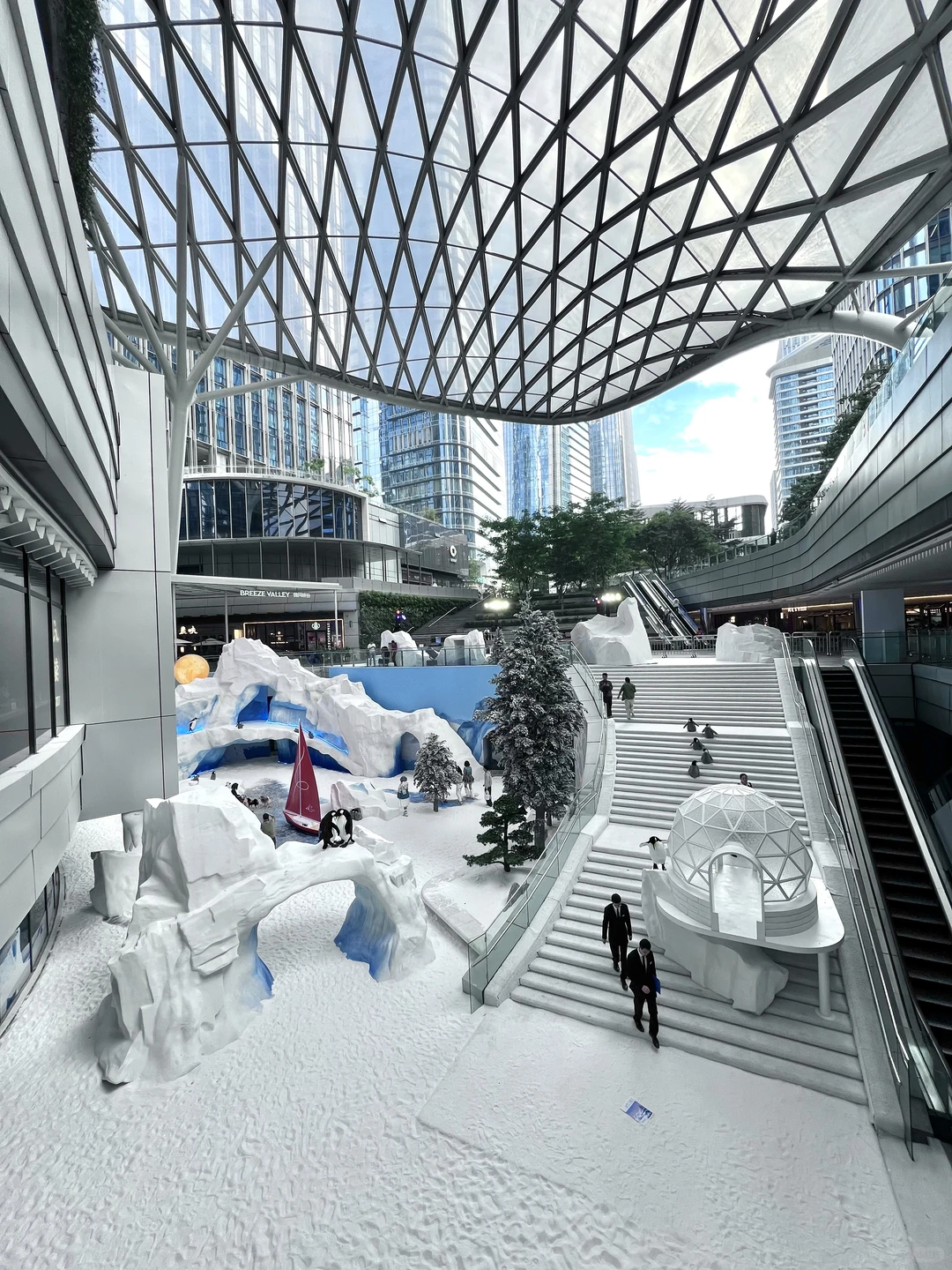深圳不要钱的雪景随便拍，好浪漫呀❄️❄️