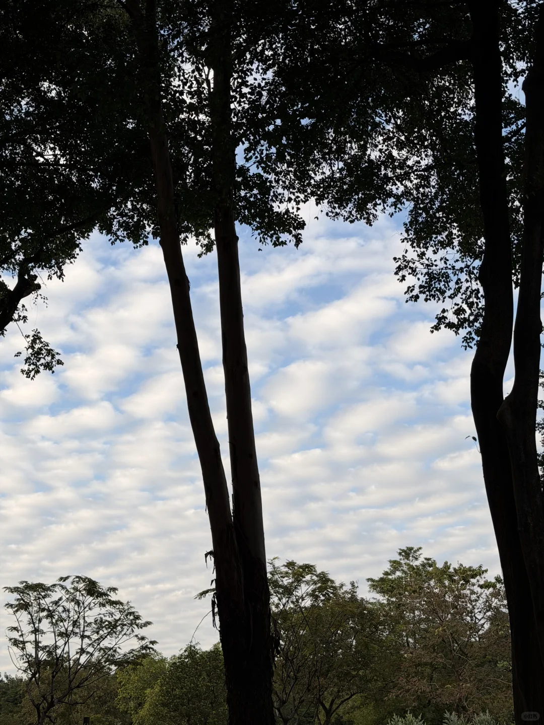 我来广州啦！带来了好消息✌️✌️✌️