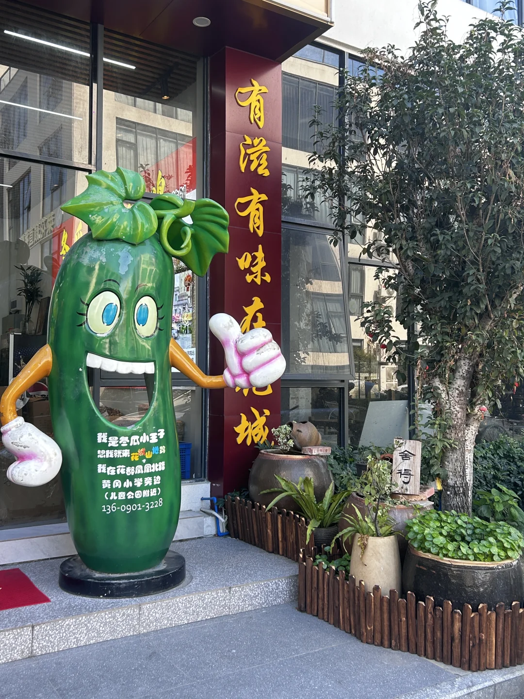 广州花都老字号冬瓜盅桑拿鸡！这波养生局…