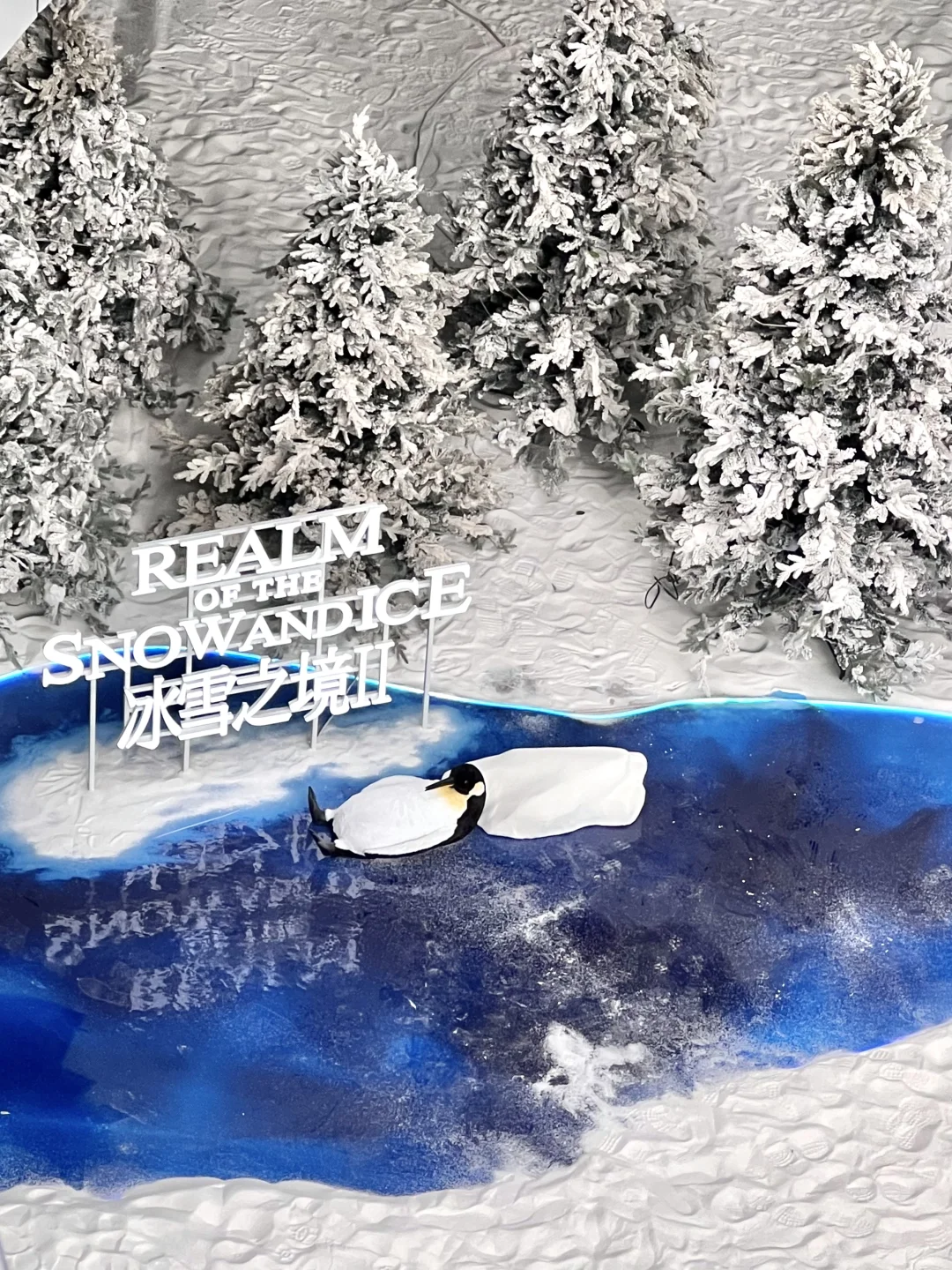 深圳不要钱的雪景随便拍，好浪漫呀❄️❄️