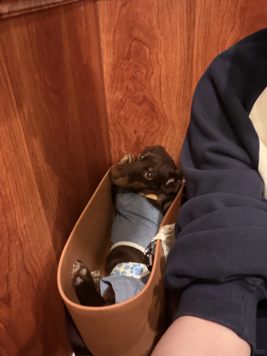 我来广州啦！带来了好消息✌️✌️✌️