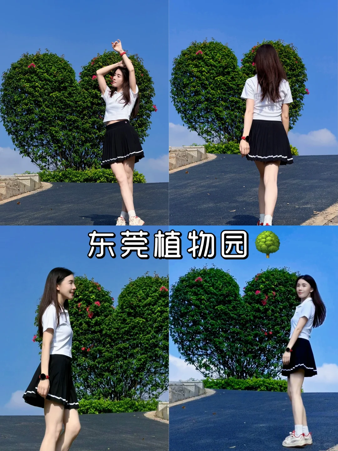 东莞｜植物园🌳拍照攻略