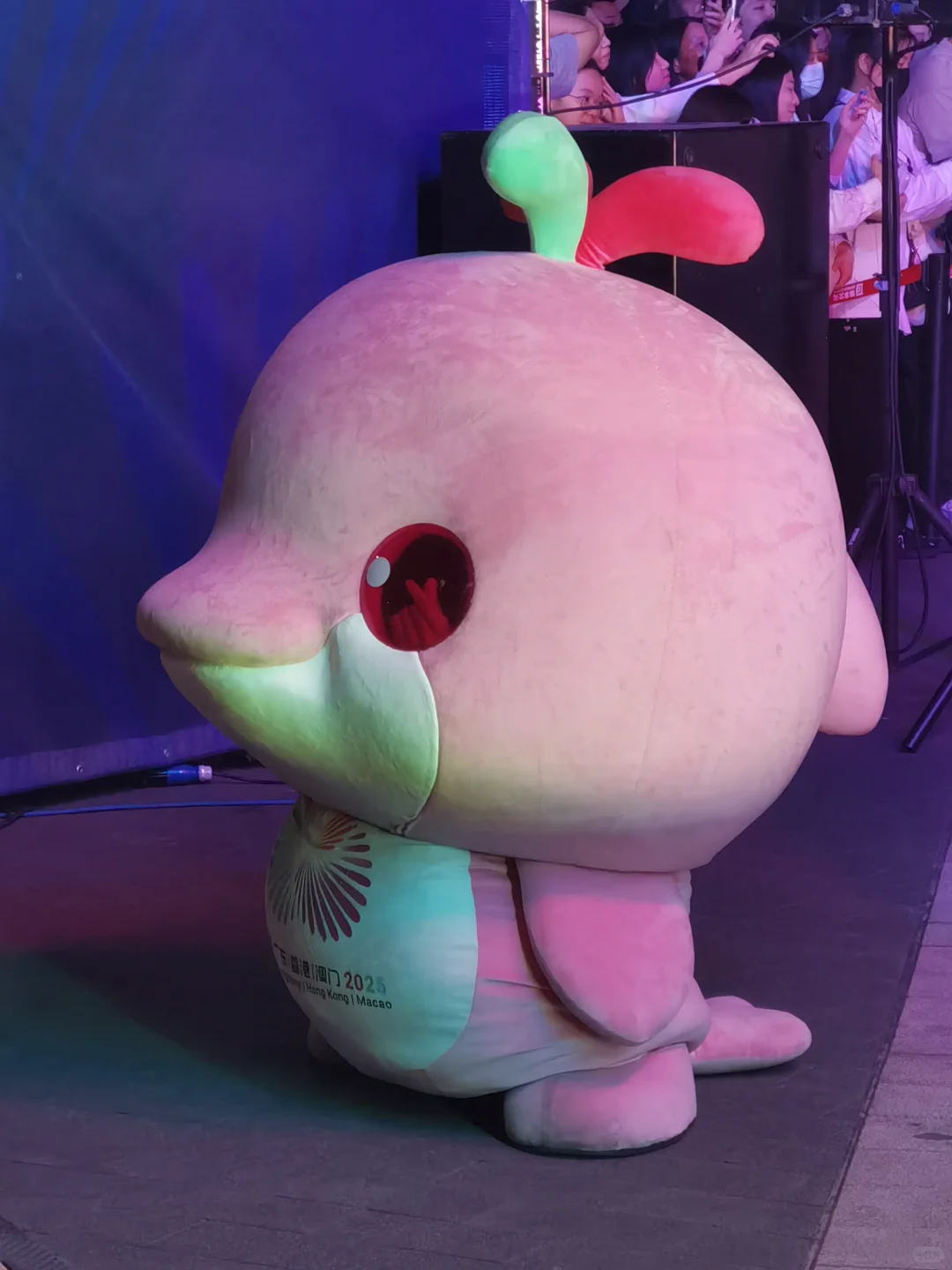 你怎么知道我今晚追鸡成功！