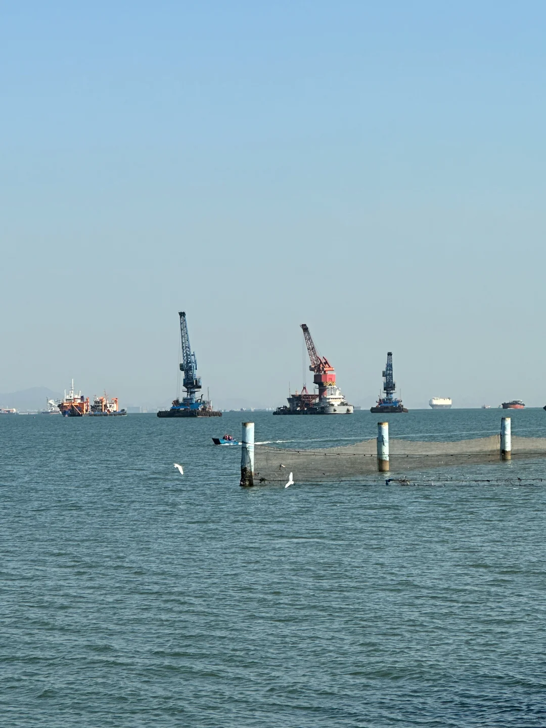 广州📍南沙 地铁直达看海 一日citywalk🏝️