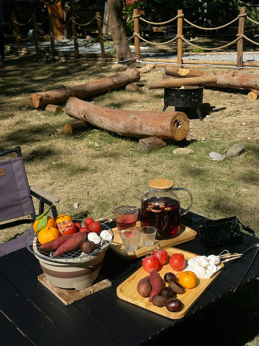 广州市区也有啦❕🐕‍🦺小狗周末露营地🏕️