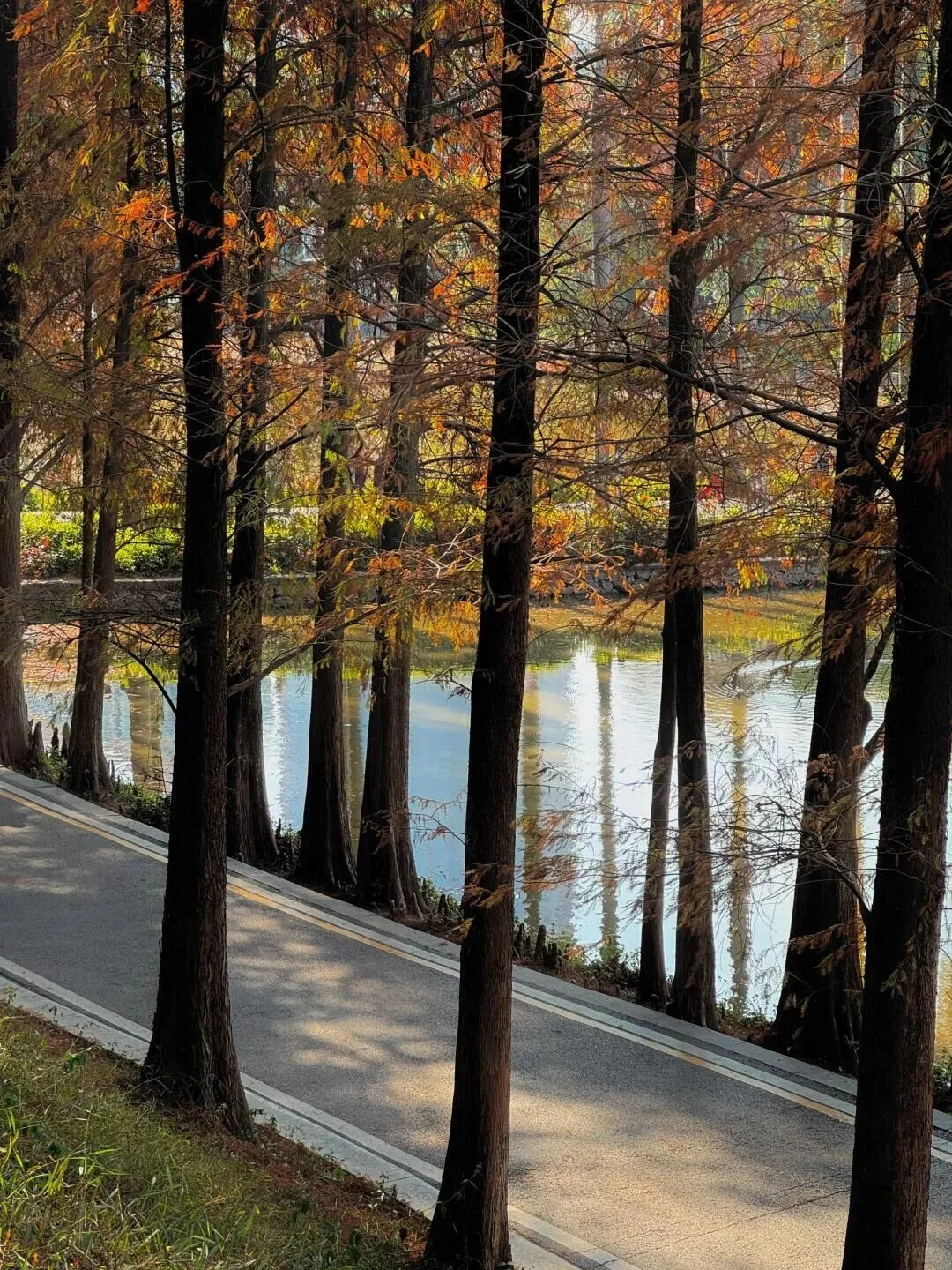 “后来我便逢人就说…冬天的广州有多美‼”