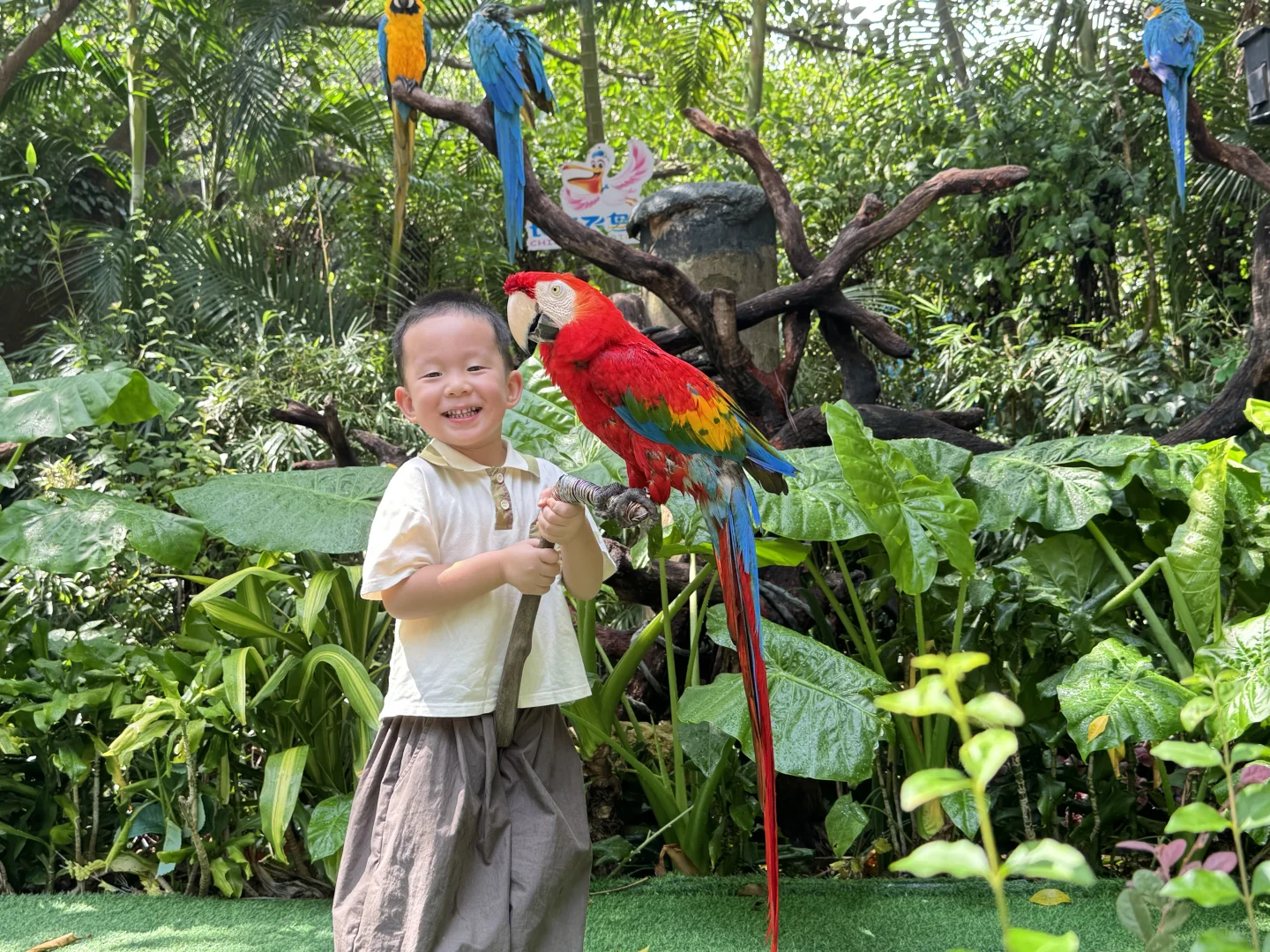 刚回！广州6天5晚 长隆+市区亲子游