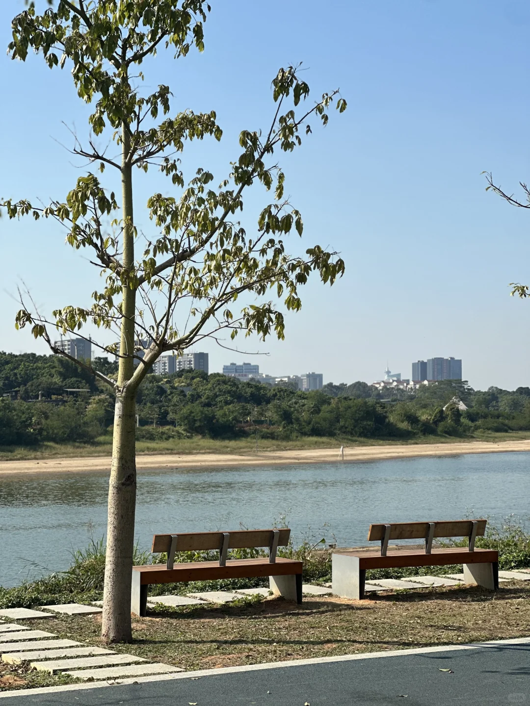 📍东莞探店｜最好拍的秋天