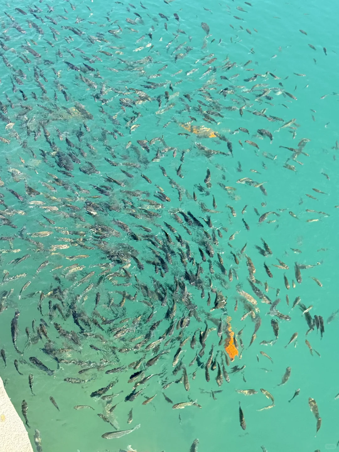 东莞“九寨沟”