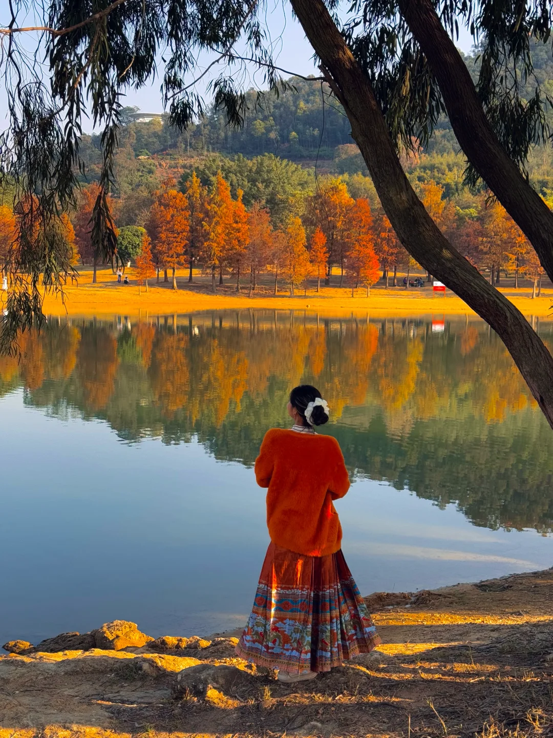 不是大理！现在的东莞美得像油画📱1.6实拍