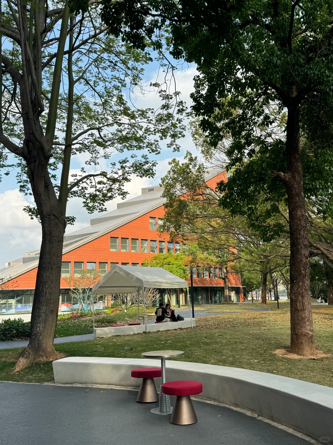 树下 我是我的春天📖🌳