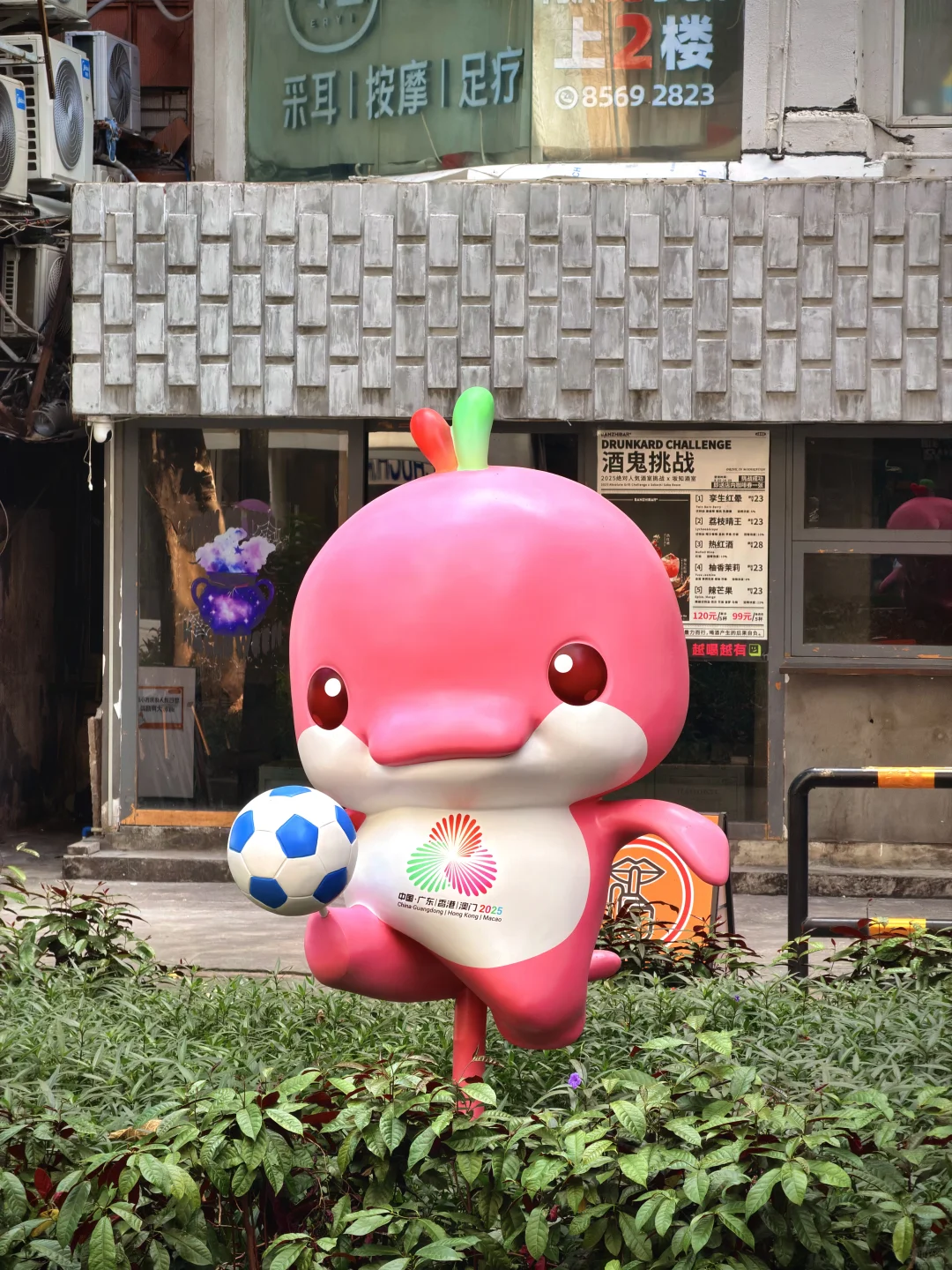 六运小区的大湾鸡，下次来广州可否再见？😭