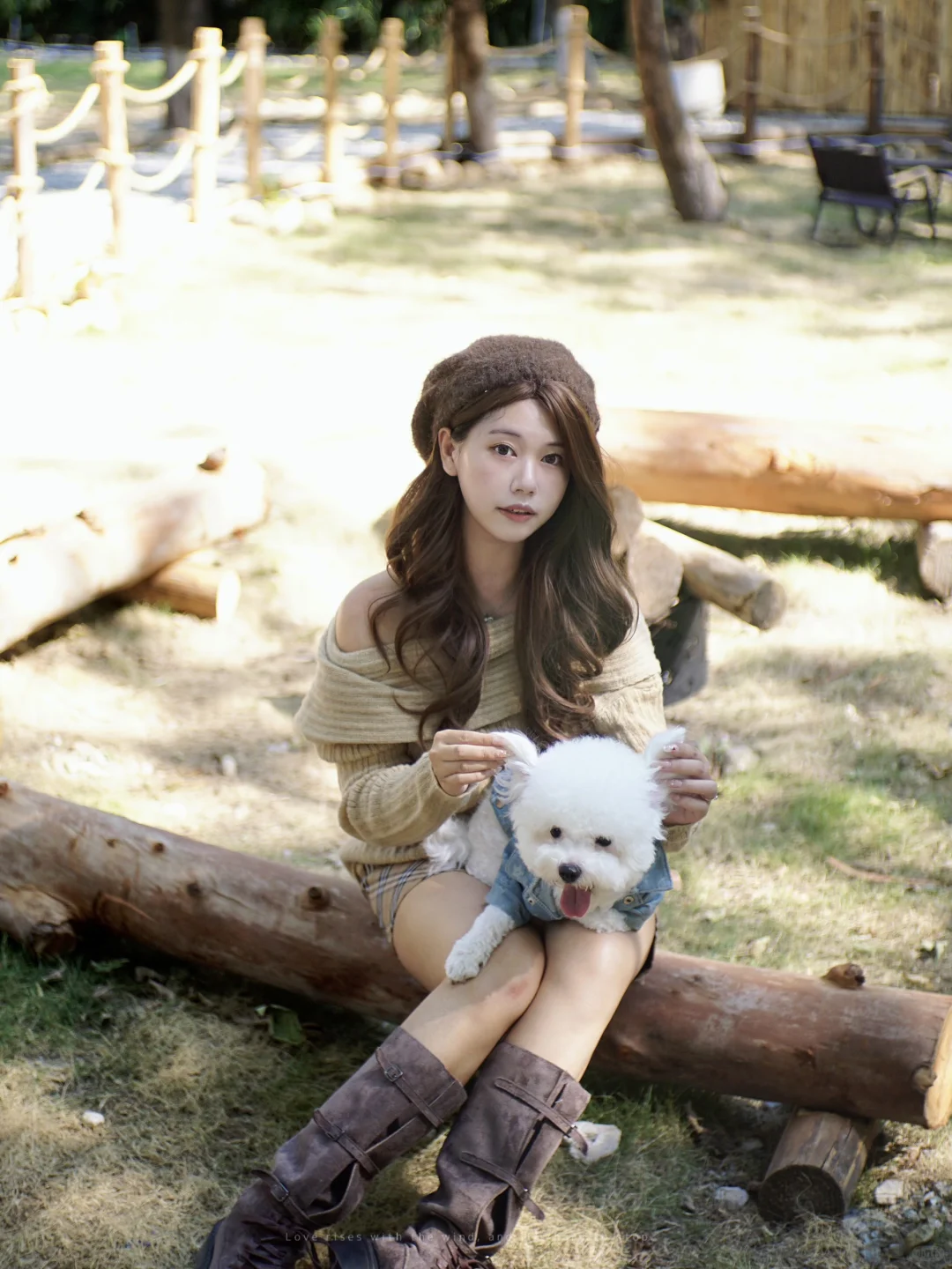 广州市区也有啦❕🐕‍🦺小狗周末露营地🏕️