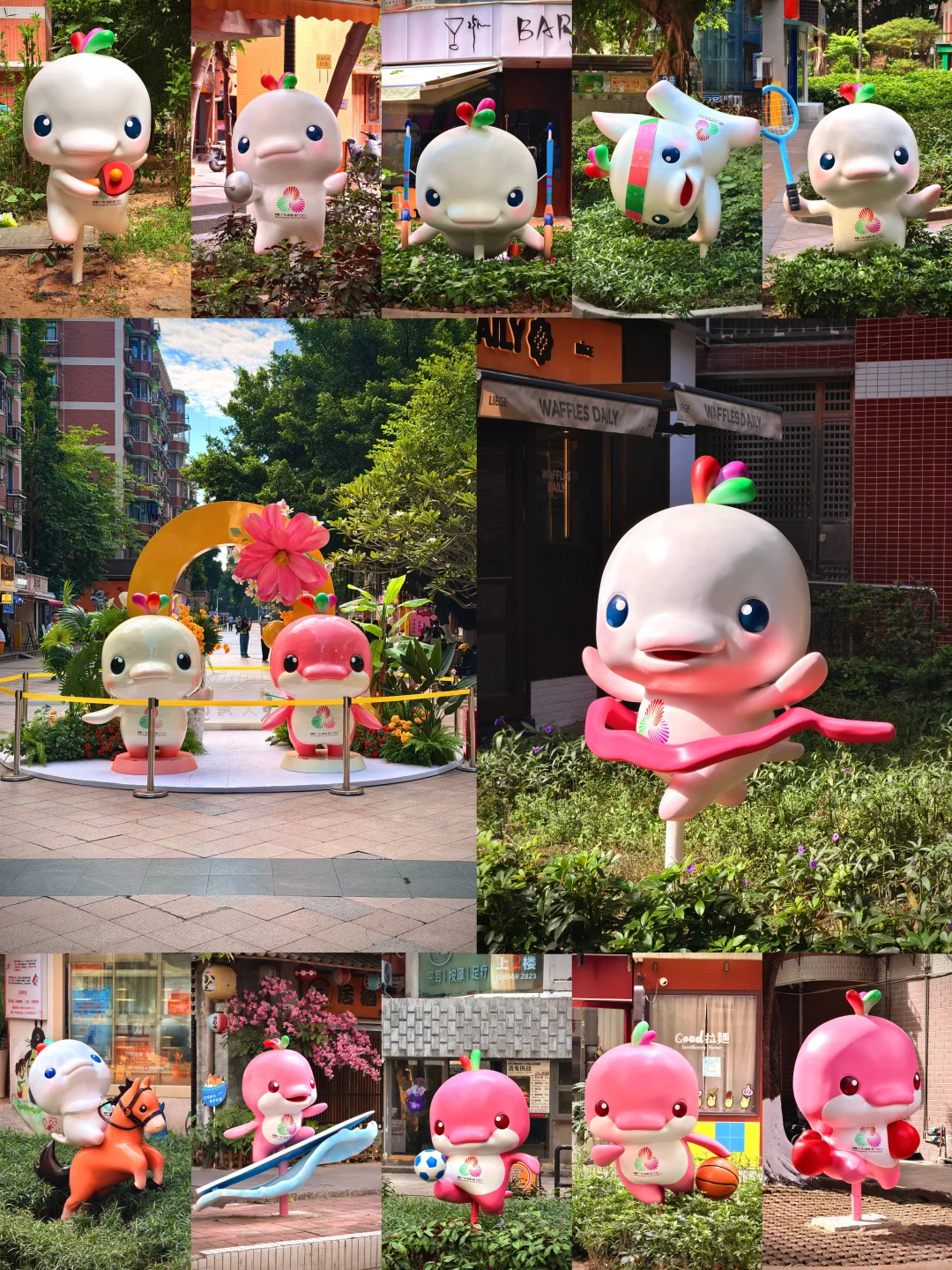 六运小区的大湾鸡，下次来广州可否再见？😭