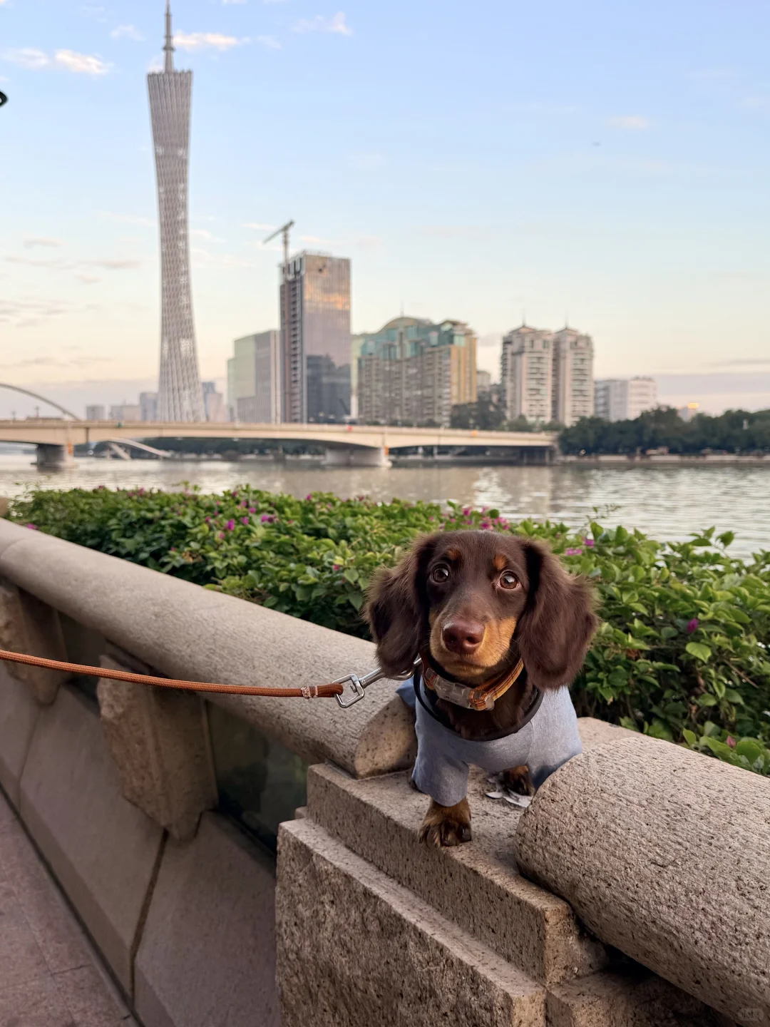 我来广州啦！带来了好消息✌️✌️✌️