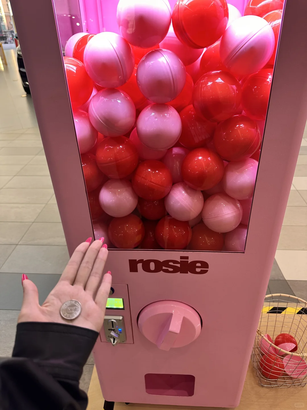 Rosie来广州啦！！！