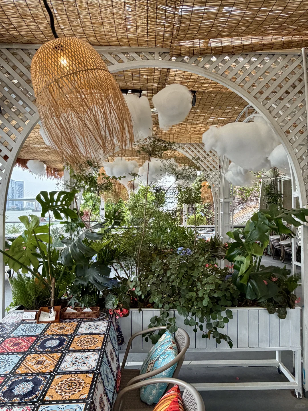 广州又有新的！！！！好漂亮💐。。。。