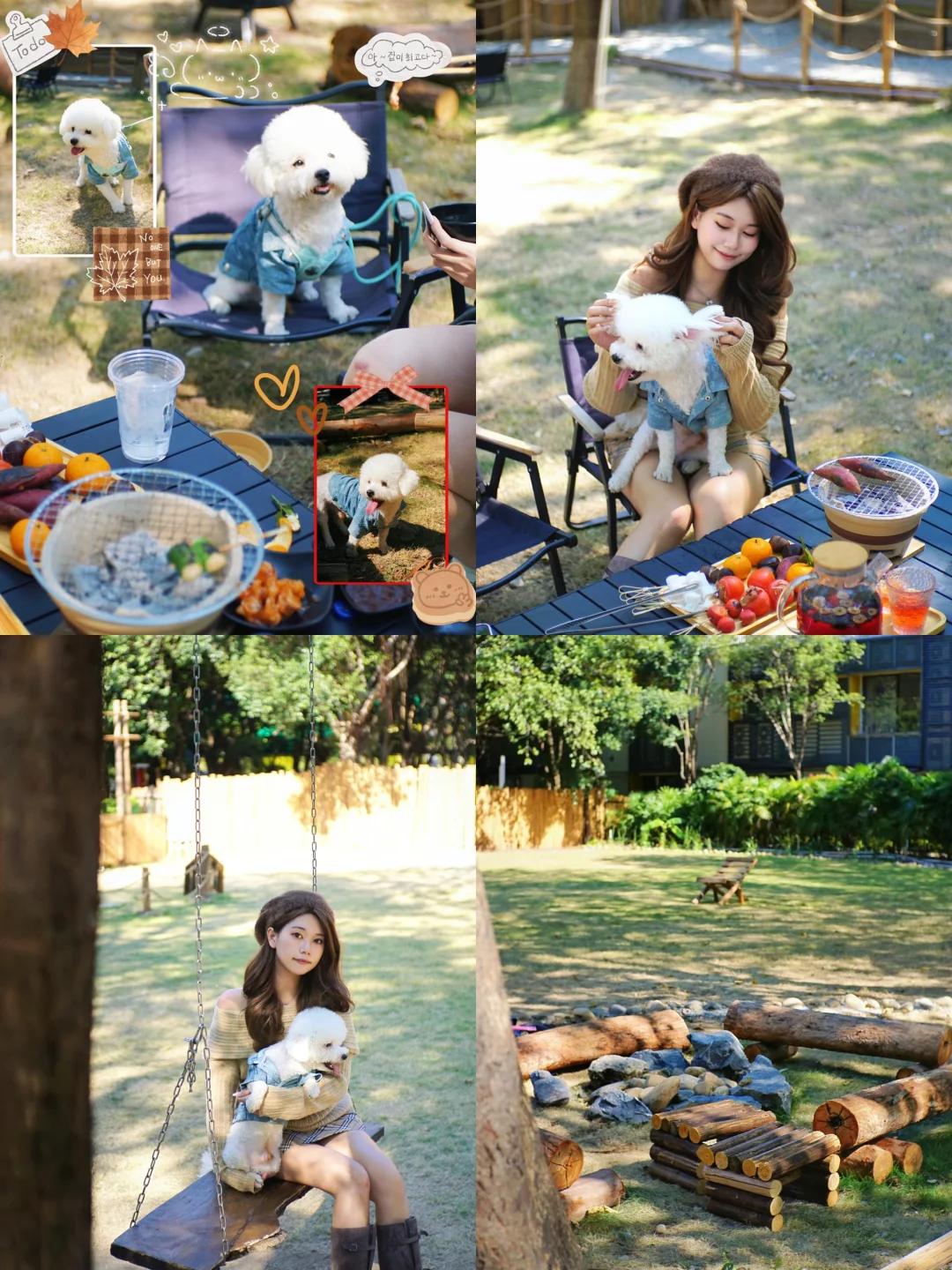 广州市区也有啦❕🐕‍🦺小狗周末露营地🏕️