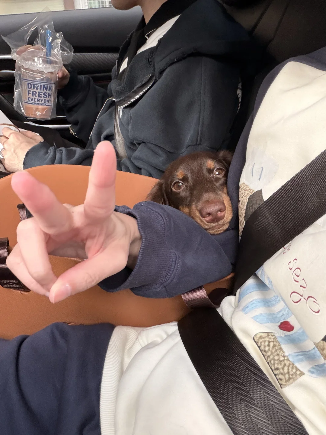 我来广州啦！带来了好消息✌️✌️✌️