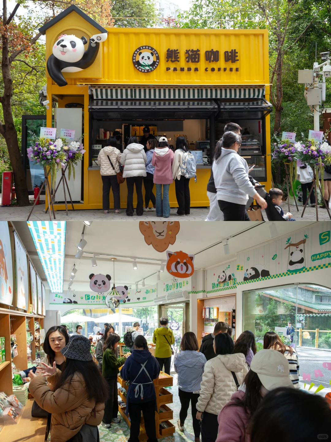 正式开业啦！！免费送你熊猫周边🐼💖✨