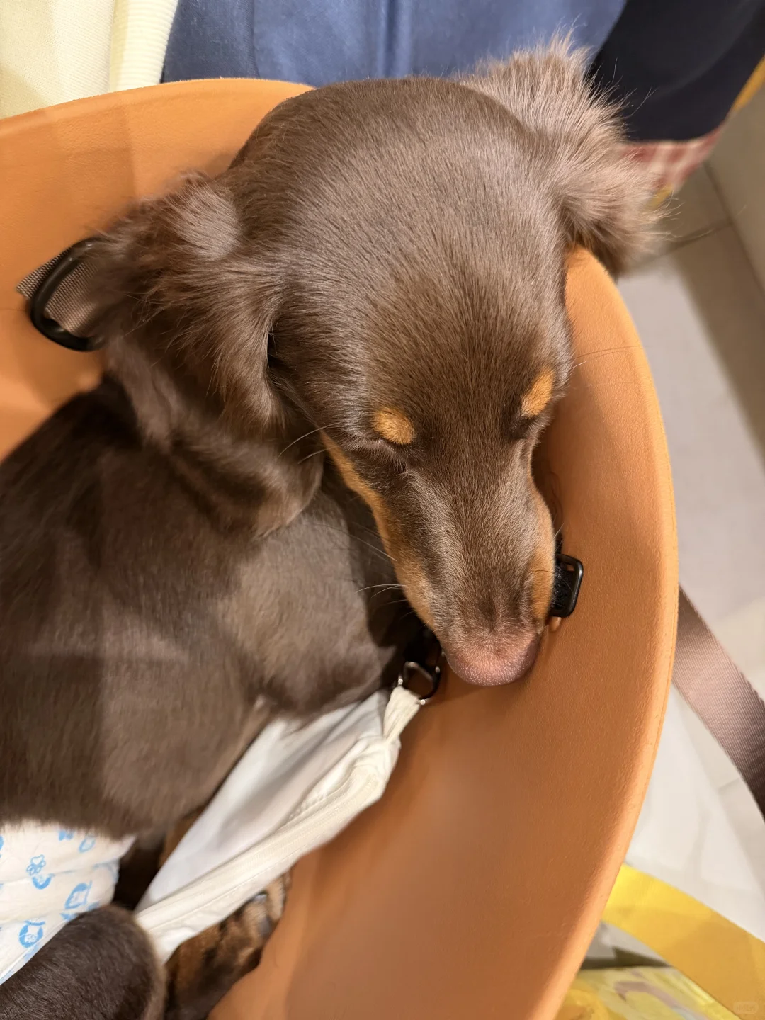 我来广州啦！带来了好消息✌️✌️✌️