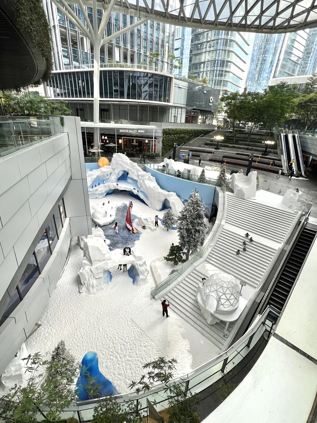 深圳不要钱的雪景随便拍，好浪漫呀❄️❄️