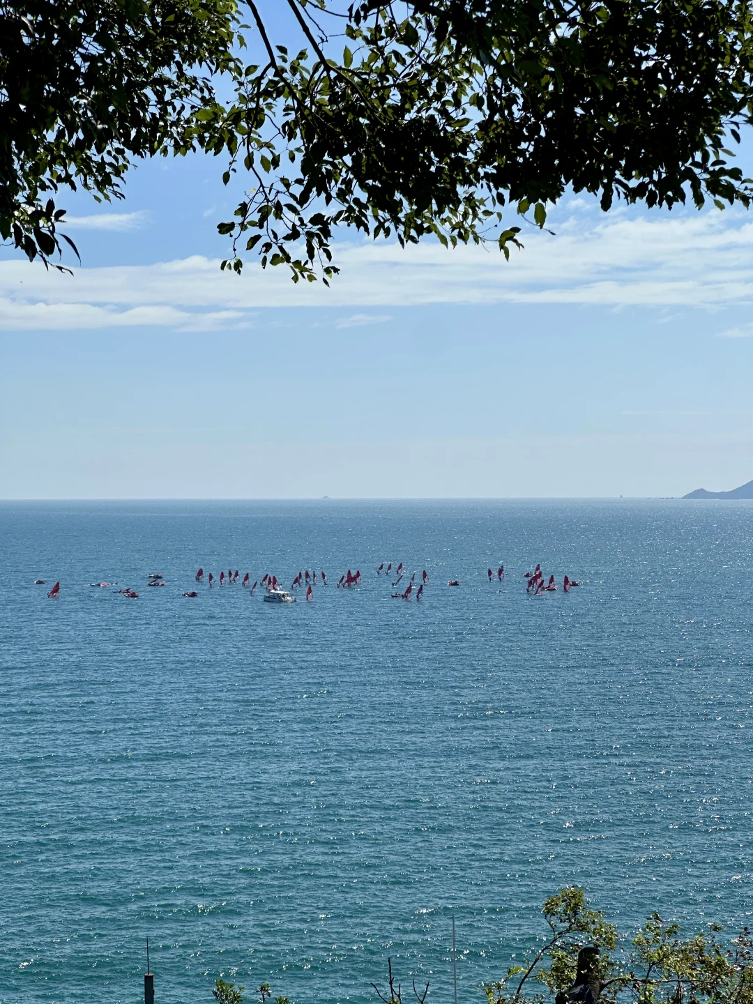 深圳🚇地铁直达海边栈道，秋天徒步太舒服