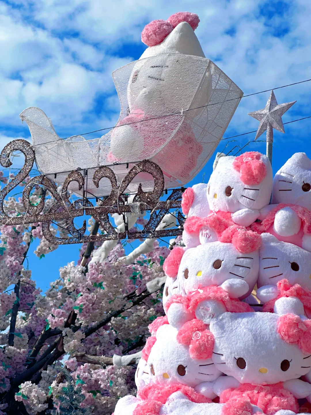 📍东莞探店｜最好拍的秋天