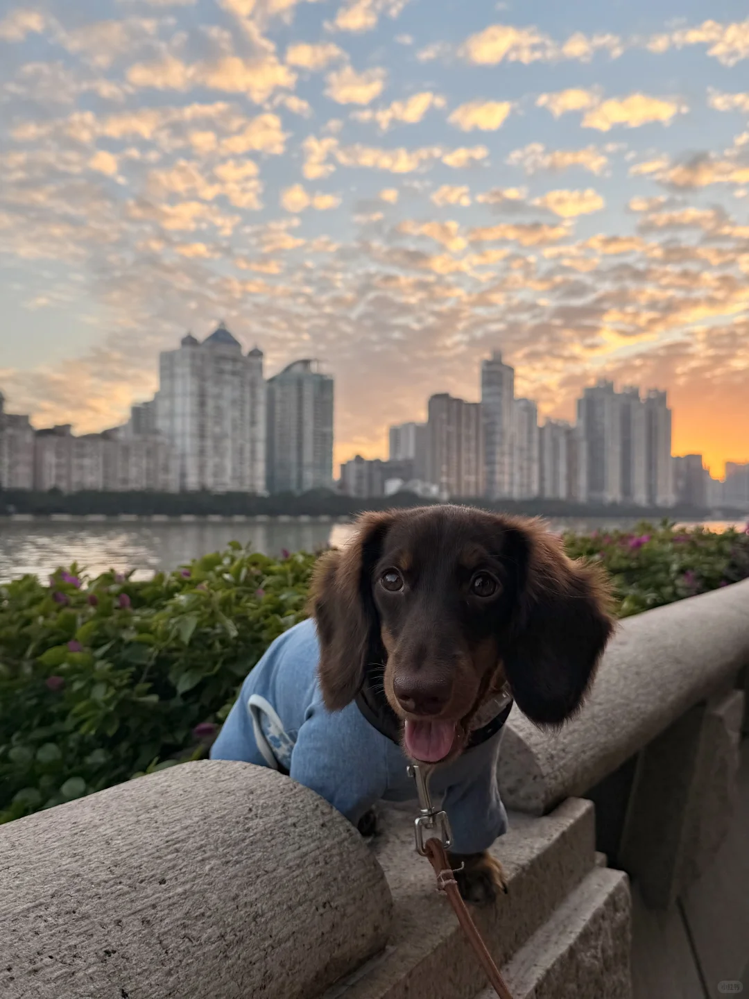 我来广州啦！带来了好消息✌️✌️✌️