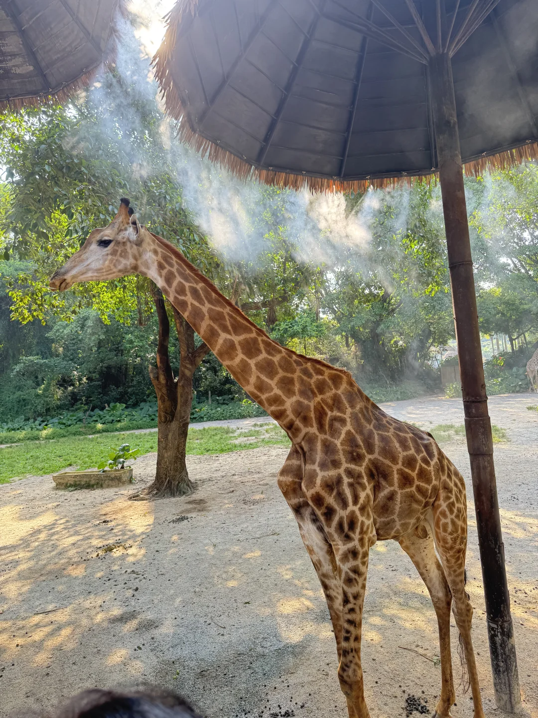 刚回！广州6天5晚 长隆+市区亲子游