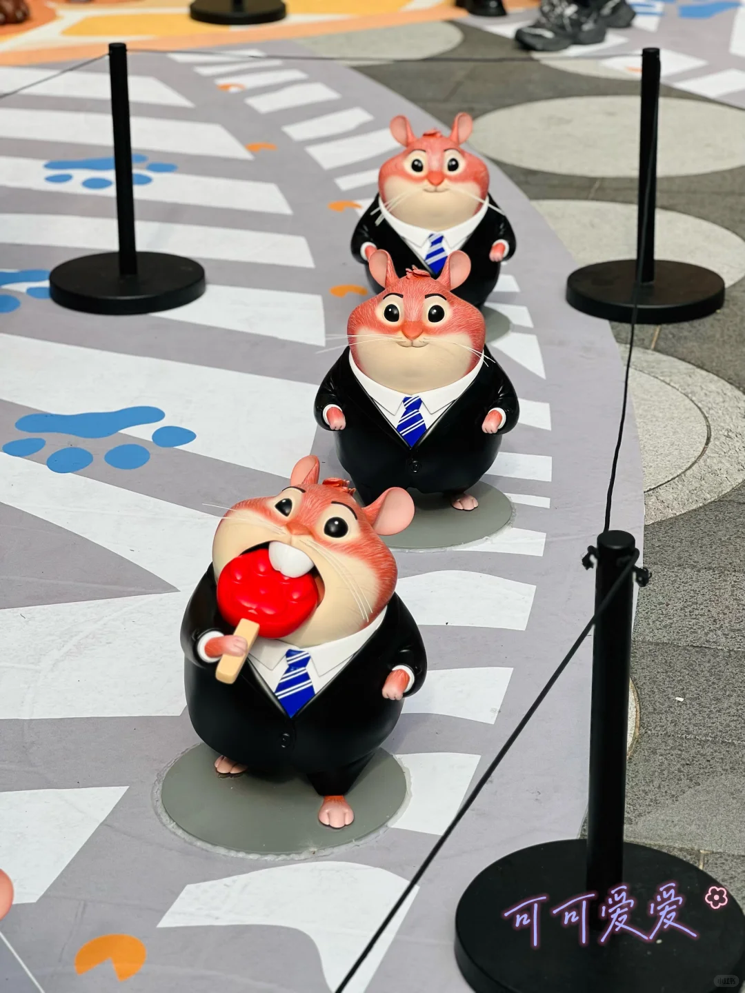 深圳卓悦中心，🐰🦊疯狂动物城来啦❗️