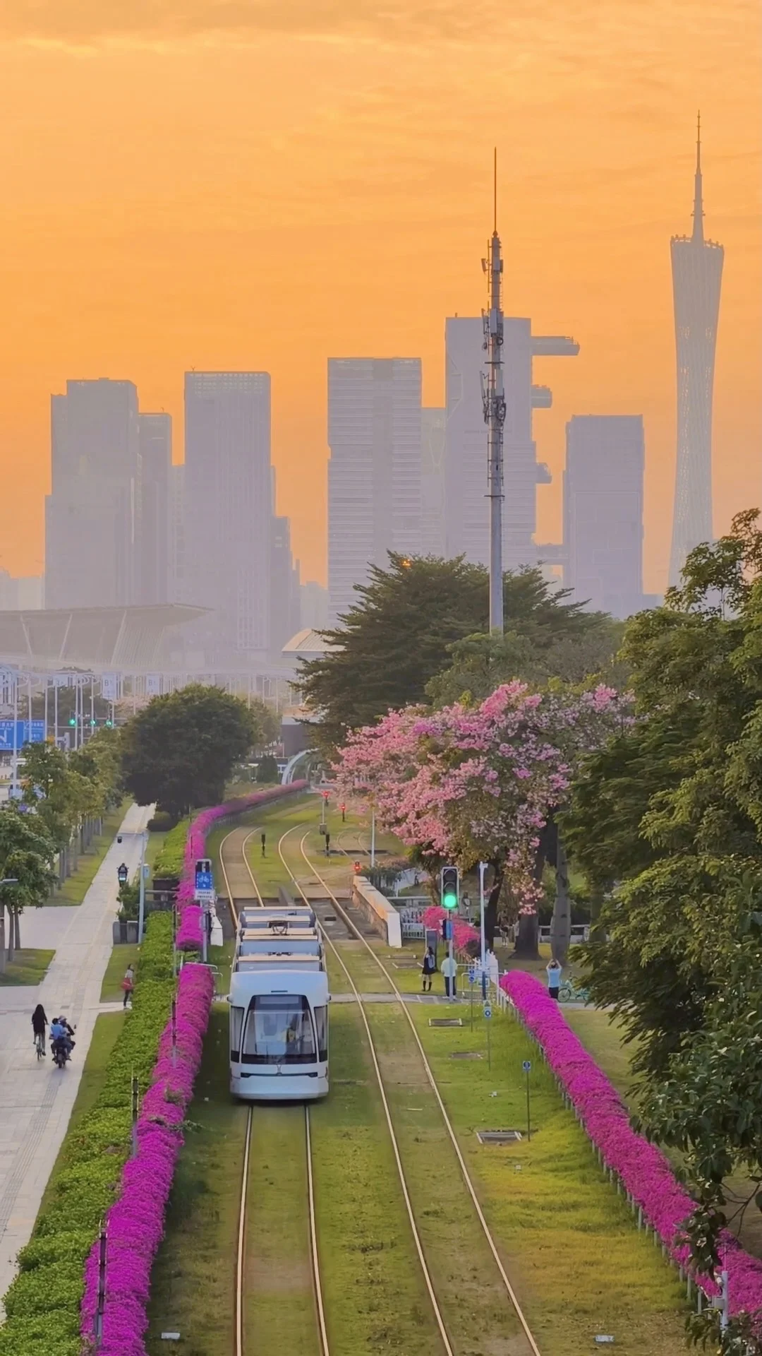 “后来我逢人便会说…🌸秋天的广州有多美！！”