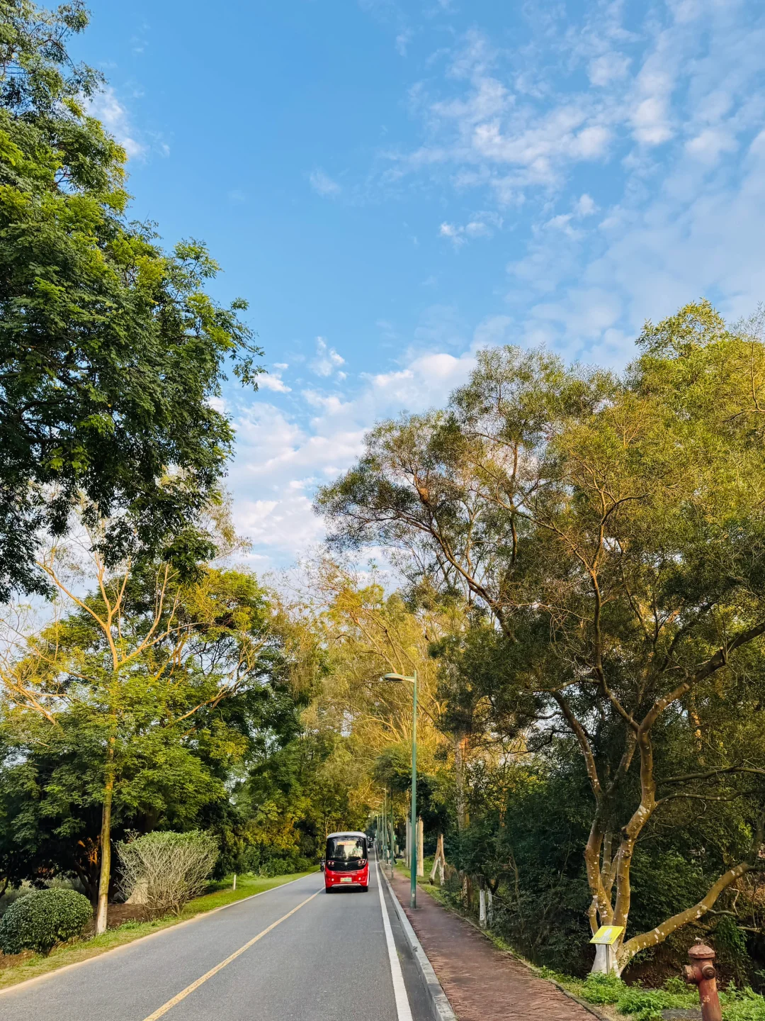 📍东莞 秋日浪漫指南 同沙公园看晚霞🌄