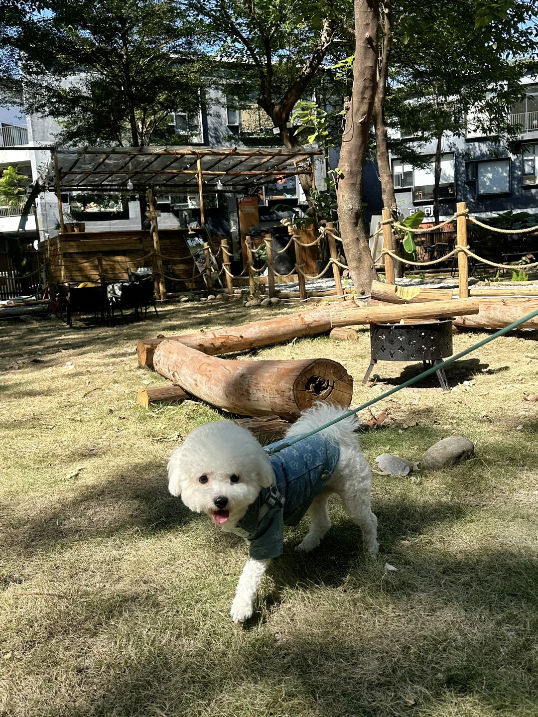 广州市区也有啦❕🐕‍🦺小狗周末露营地🏕️