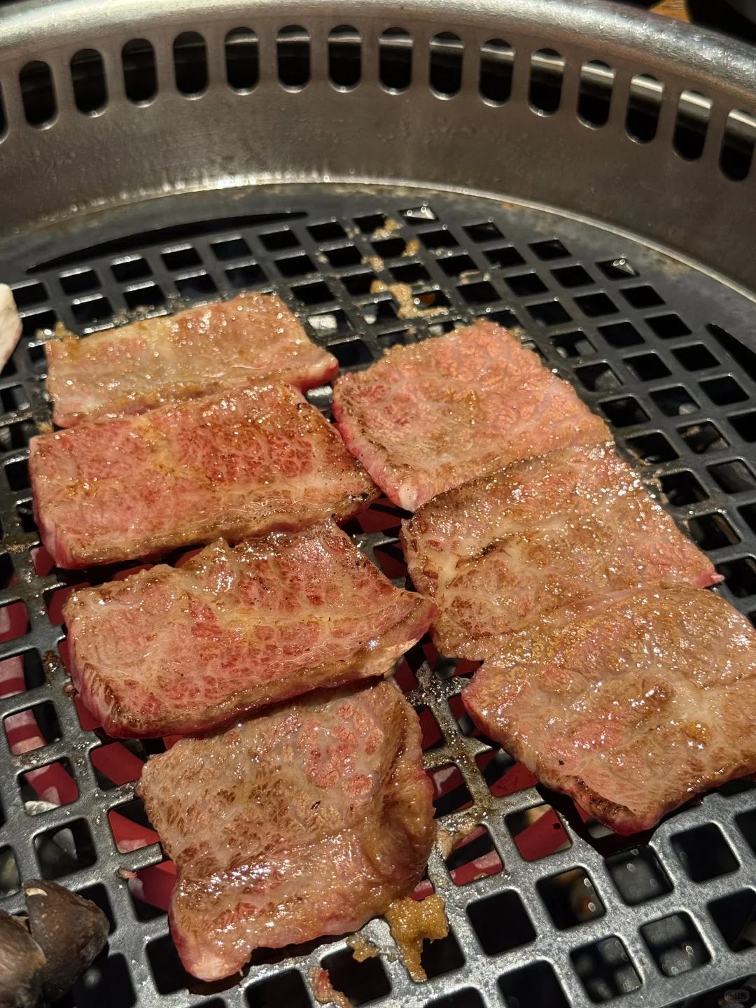 广州top1好吃的啊啊啊