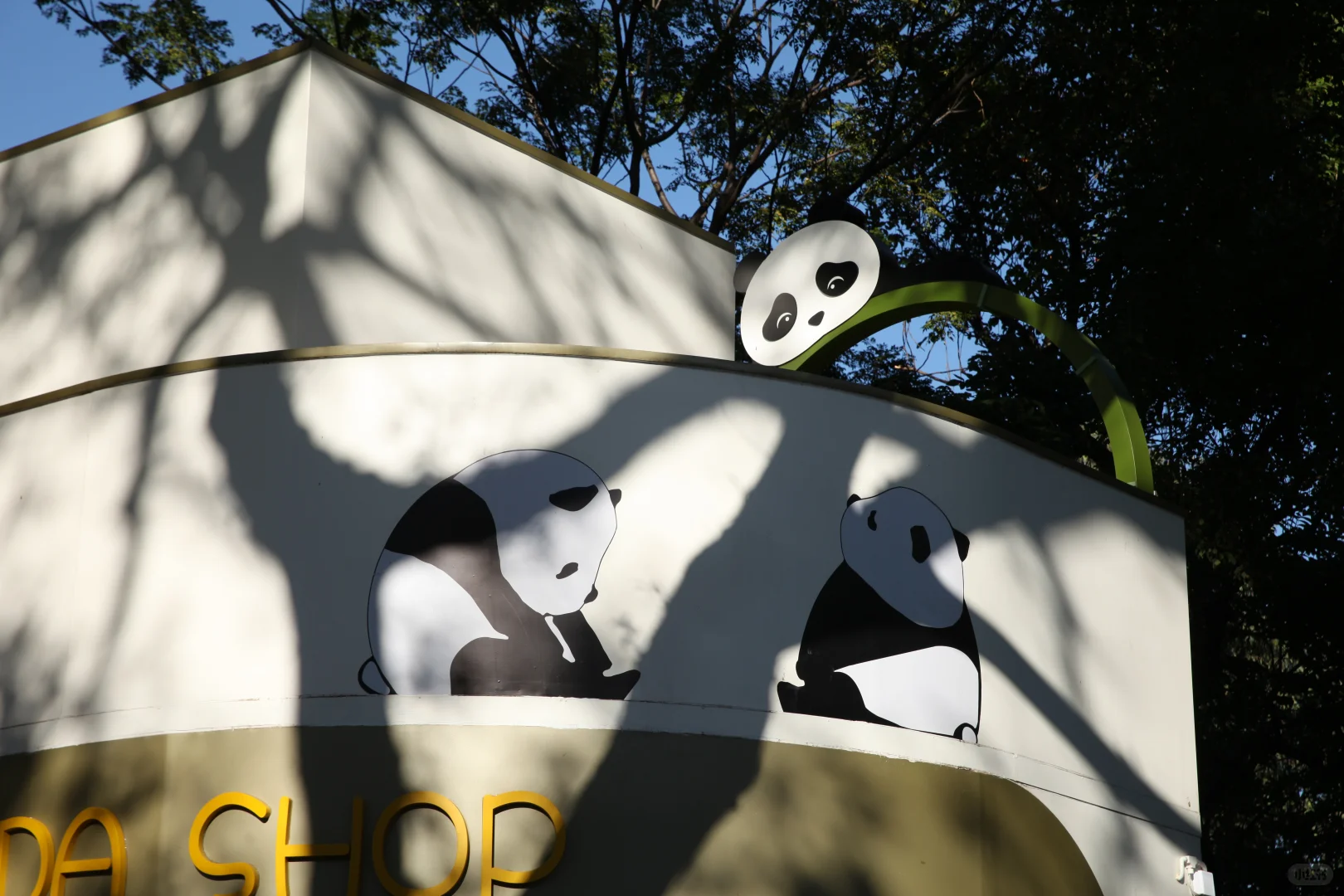 正式开业啦！！免费送你熊猫周边🐼💖✨