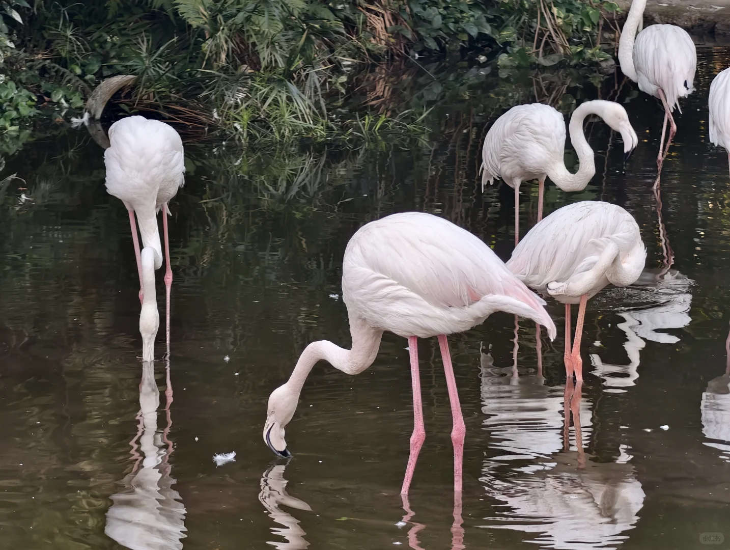 广州动物园，下次还来！