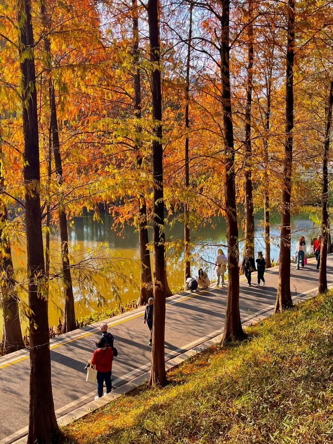 “后来我便逢人就说…冬天的广州有多美‼”