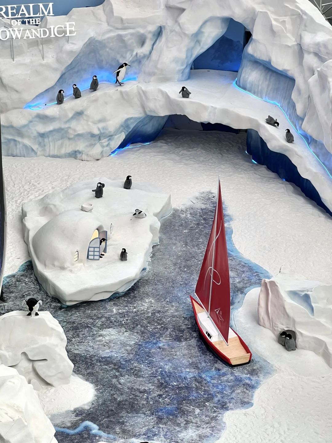 深圳不要钱的雪景随便拍，好浪漫呀❄️❄️