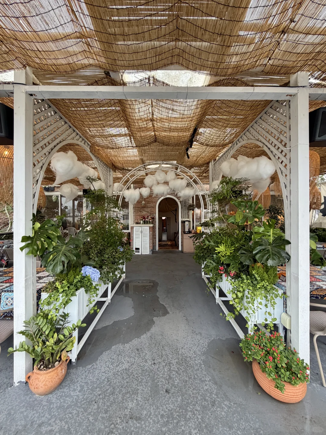 广州又有新的！！！！好漂亮💐。。。。