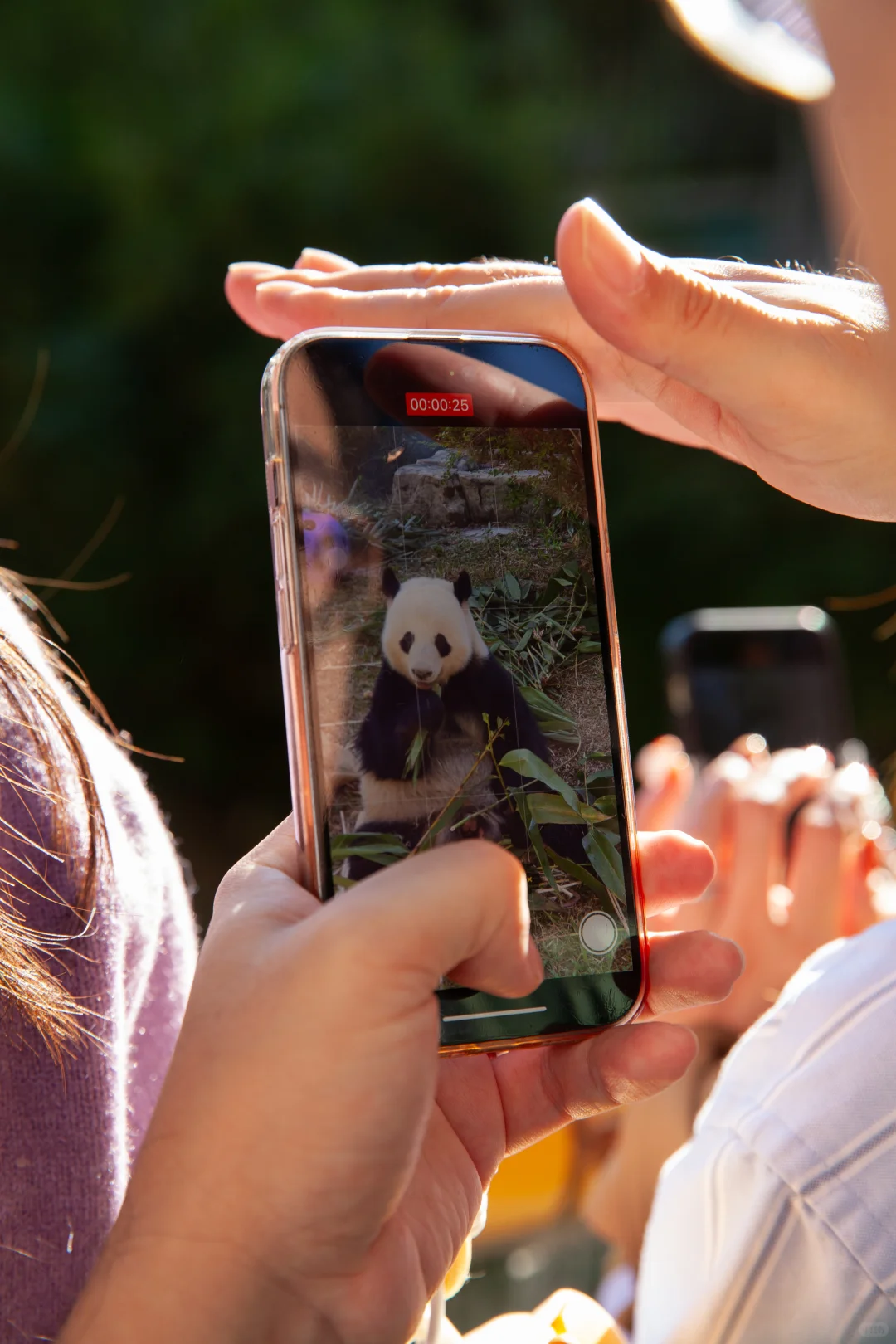 正式开业啦！！免费送你熊猫周边🐼💖✨