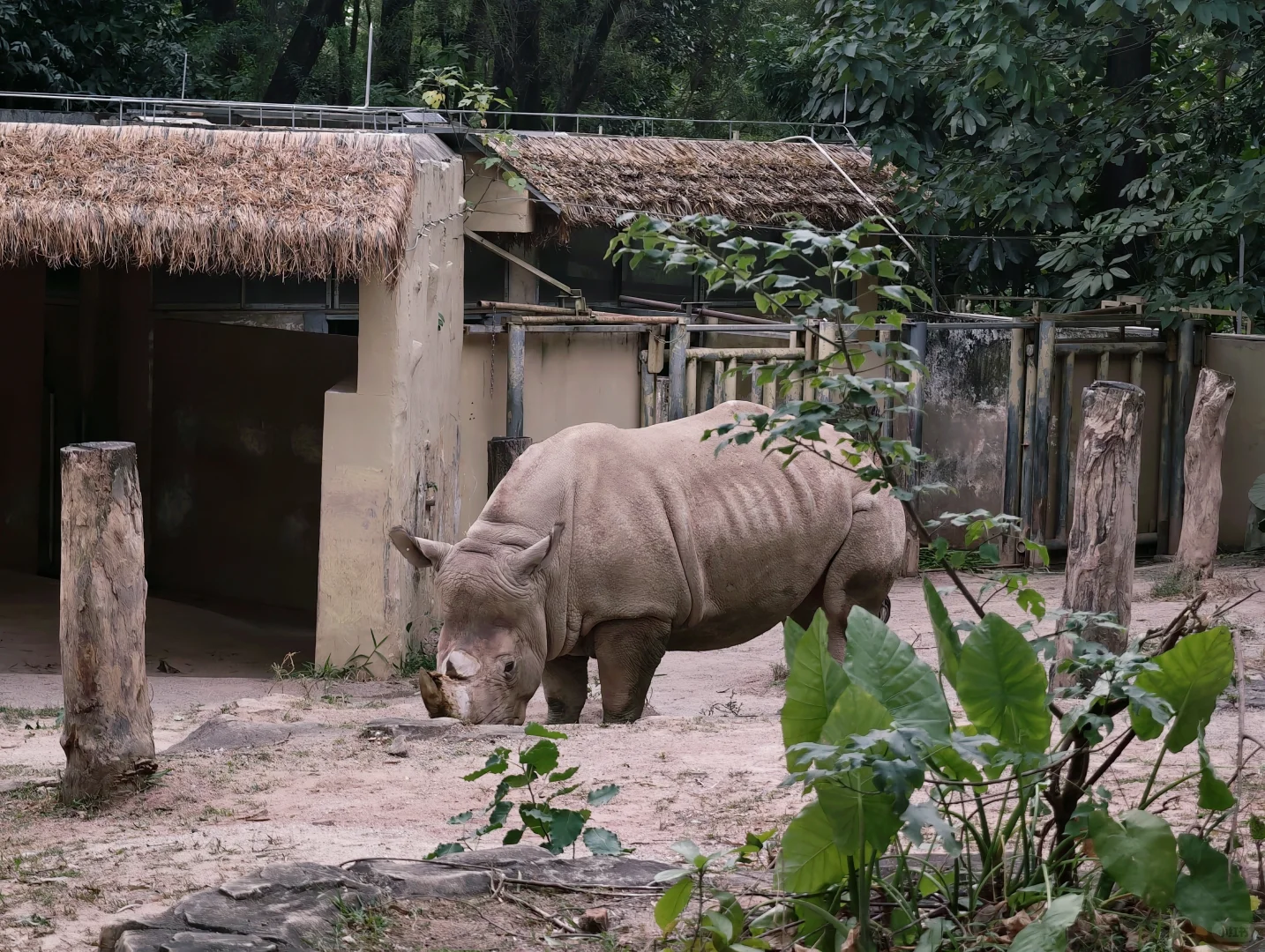 广州动物园，下次还来！